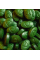 Спіруліна у таблетках, 100 г, TOP  SPIRULINA